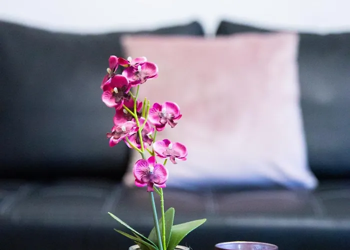 Apartament Familienfreundliche Nahe Westfieldcentro Oberhausen (North Rhine-Westphalia)